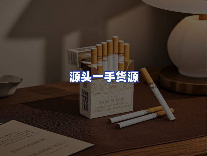 专业团队